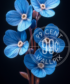 An image of forget me nots against a black background for a phone wallpaper.