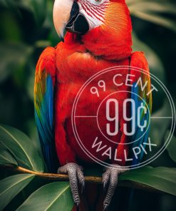 An image of a colorful red parrot perched on a branch for a phone wallpaper