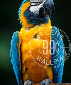 An image of a colorful yellow parrot perched on a branch for a phone wallpaper.